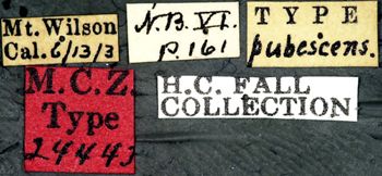 Media type: image;   Entomology 24443 Aspect: labels